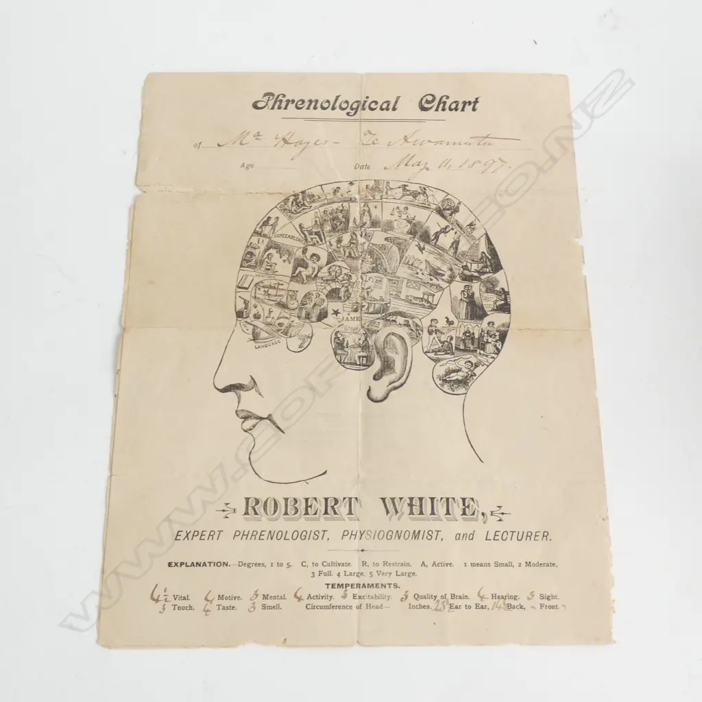 PHRENOLOGICAL CHART READING - DATED 1897  Image 1++
