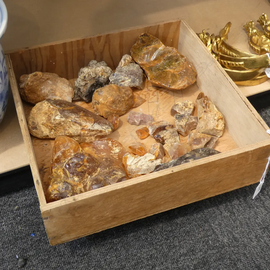 TRAY OF KAURI GUM Image 1++