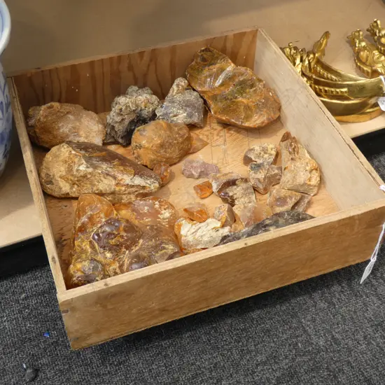 TRAY OF KAURI GUM