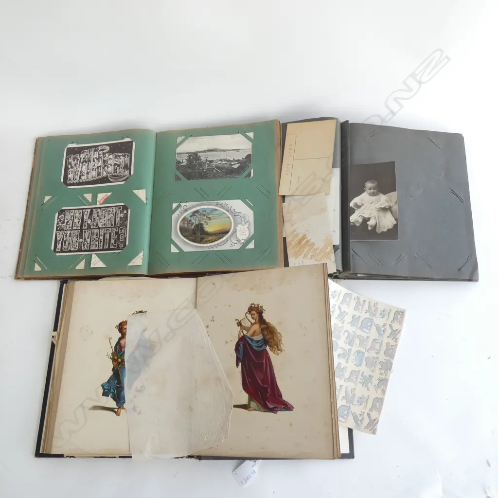 3 VICTORIAN ALBUMS Image 1++