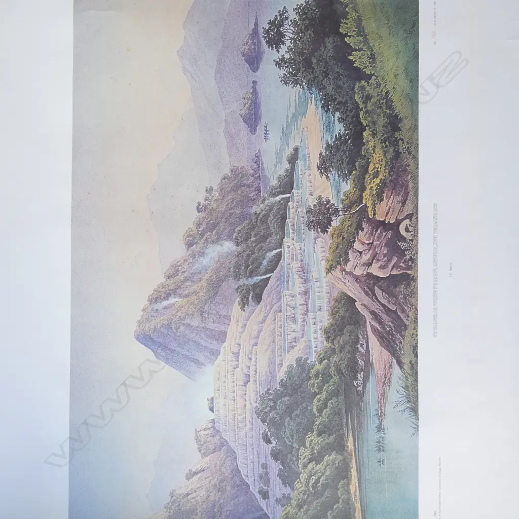 BOX LOT ASST. GREENPEACE PRINTS, EARLY NZ ETC Image 1++