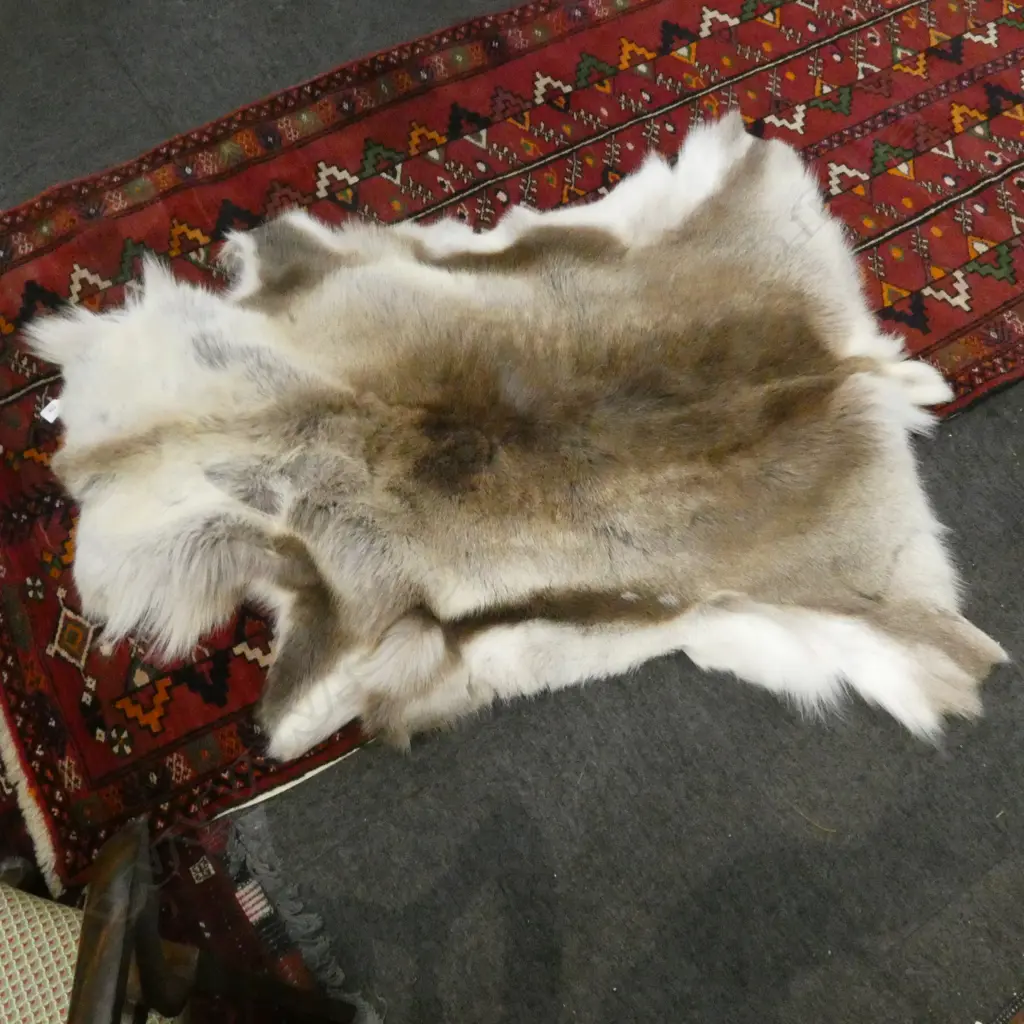 REINDEER HIDE RUG L.1200mm Image 1++