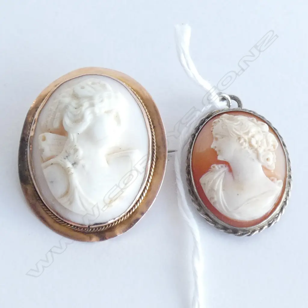 9CT GOLD FRAMED CAMEO & SILVER FRAMED CAMEO Image 1++