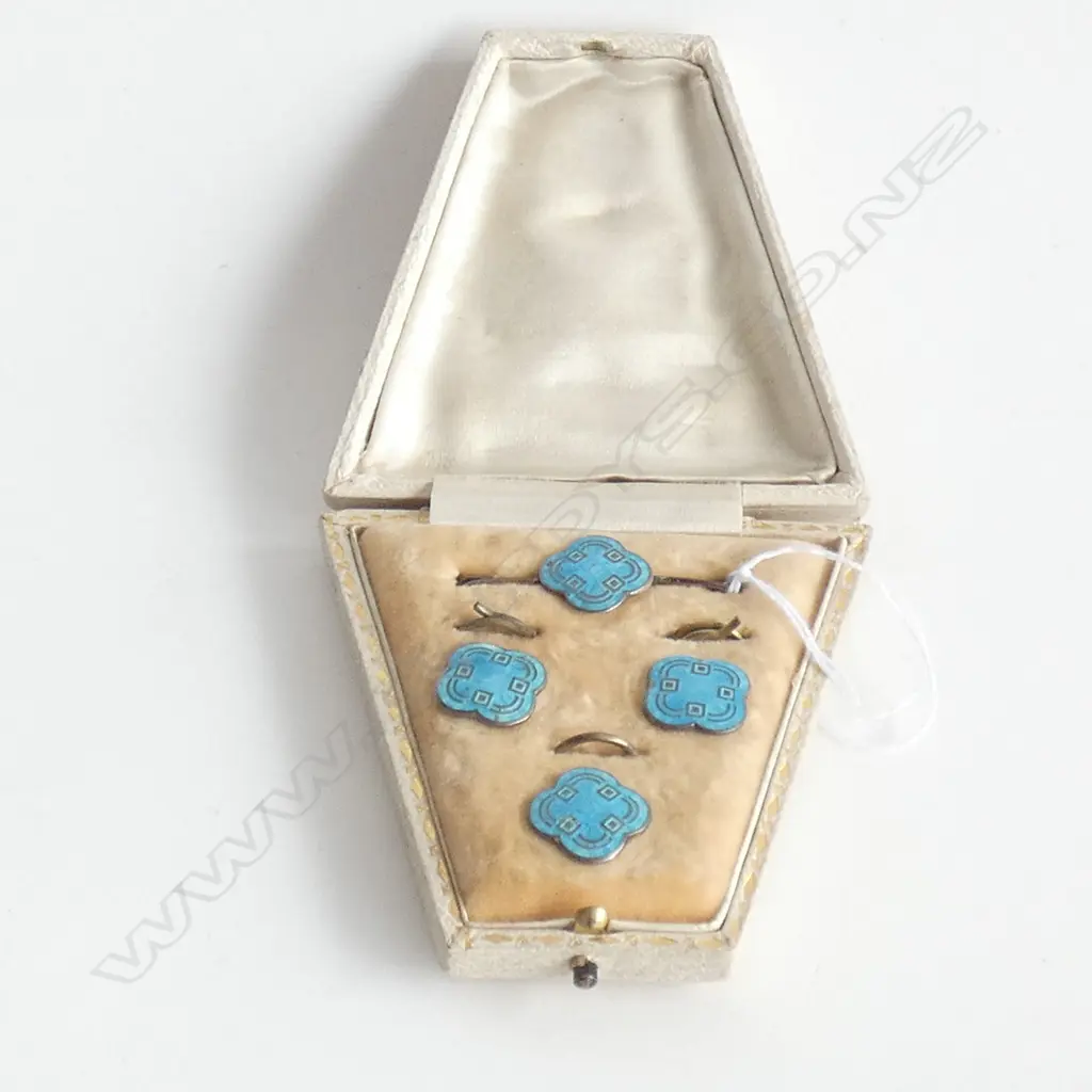 1920's 'HARD ENAMEL' CASED BUTTON & PIN SET Image 1++
