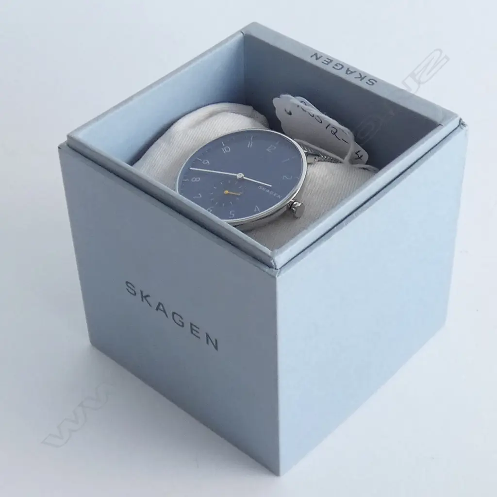 SKAGEN WRISTWATCH (BOXED) Image 1++