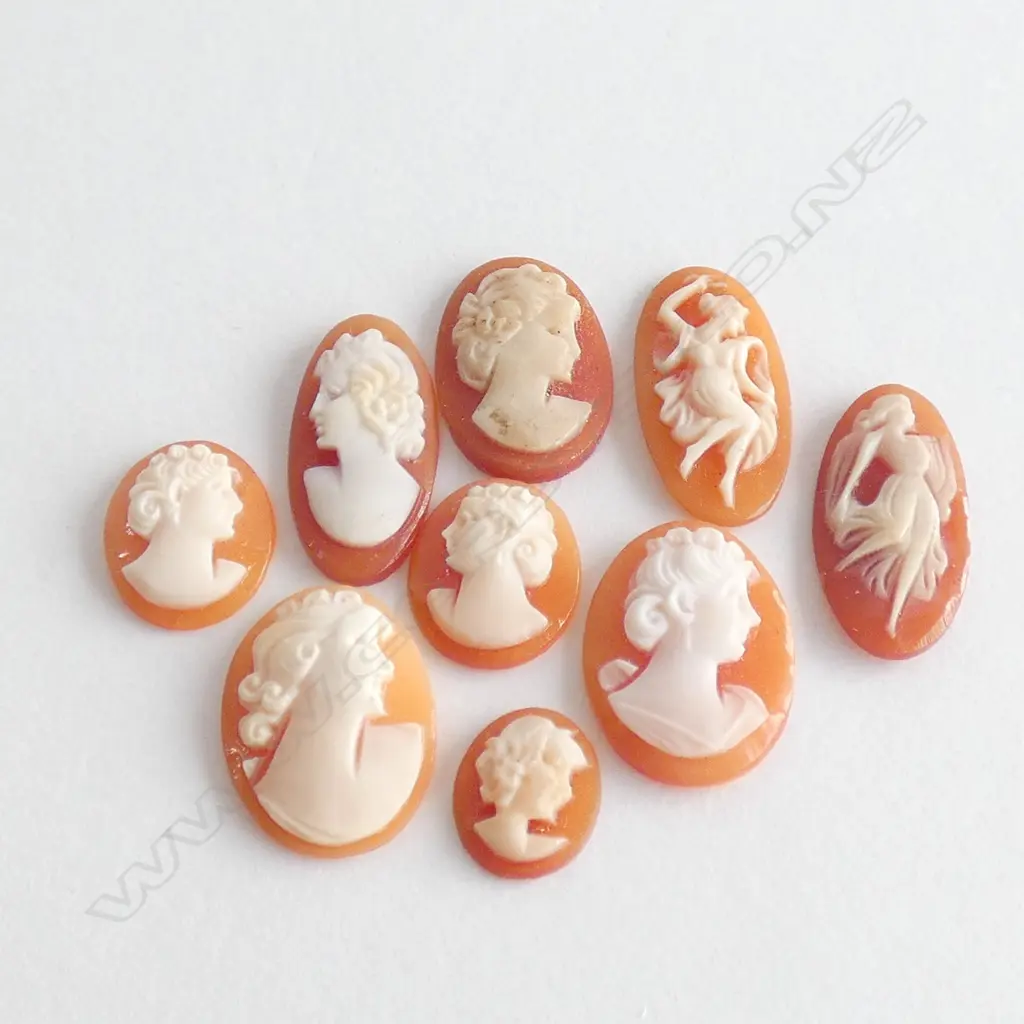 COLLECTION VINTAGE ART NOUVEAU SHELL CAMEOS Image 1++