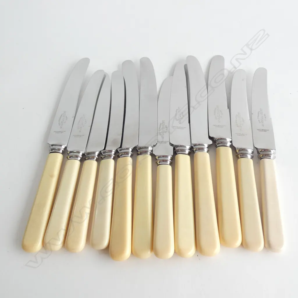 12 'BONE' HANDLED KNIVES Image 1++