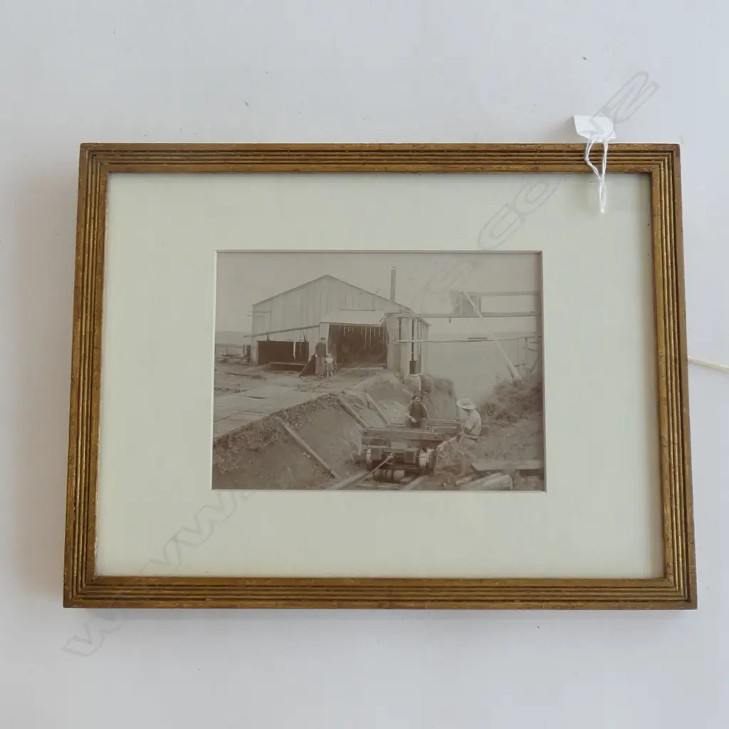 VICTORIAN PHOTO OF KAURI TROLLY NEAR DARGAVILLE Image 1++