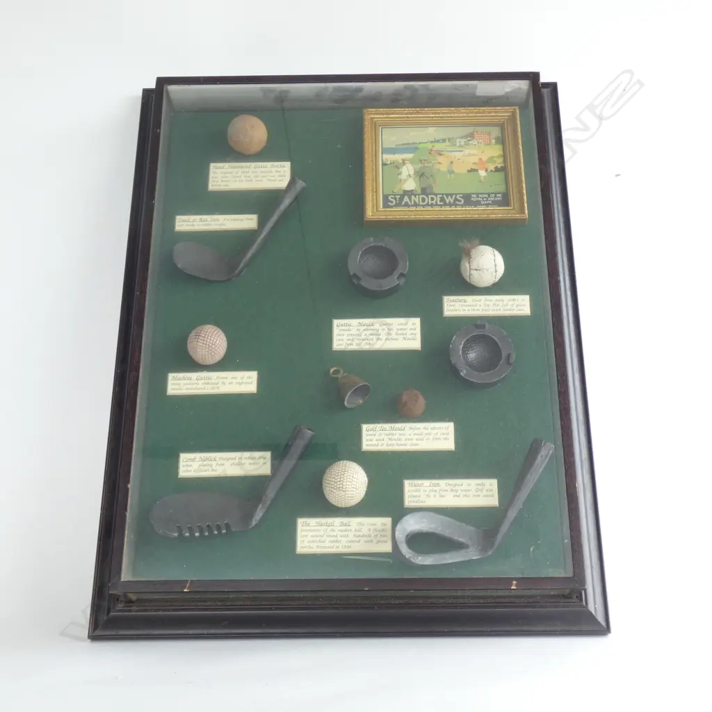 FRAMED ST ANDREWS GOLF MEMORABILIA; BALLS / TEE MOULDS / IRONS ETC.  445 X 570MM Image 1++