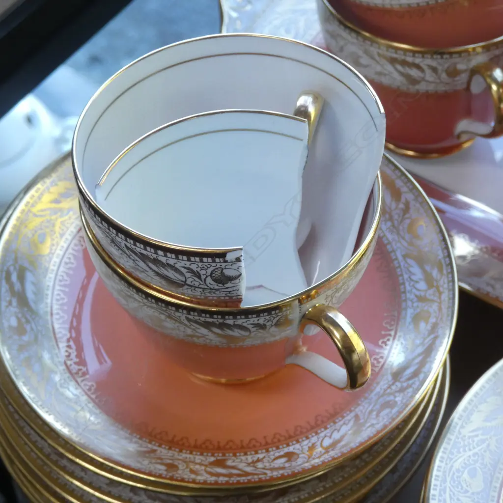 30 PCE SPODE 'OAKLEA' TEA SET; 8 TRIOS ETC AF... Image 1++