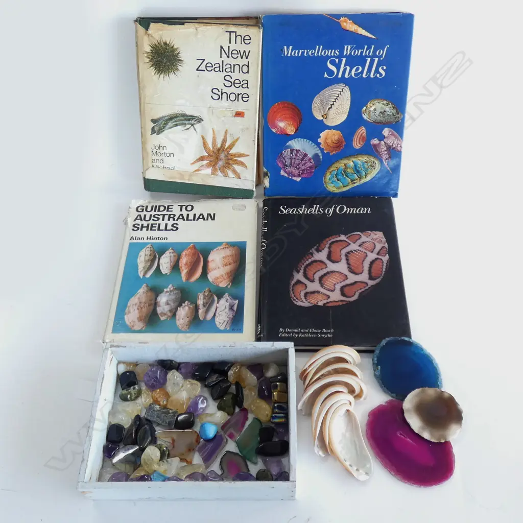 TRAY ASST. POLISHED STONES & QUARTZ + 4 BOOKS ON SHELLS  Image 1++