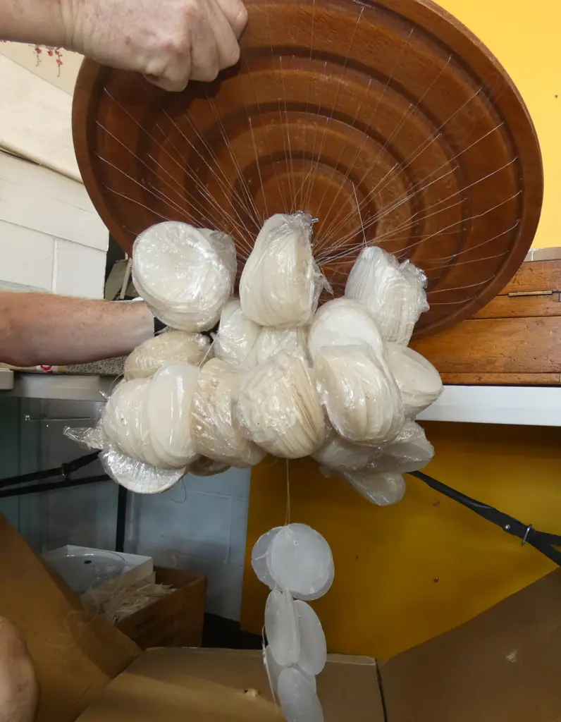 SHELL HANGING LIGHT IN BOX  Image 1++