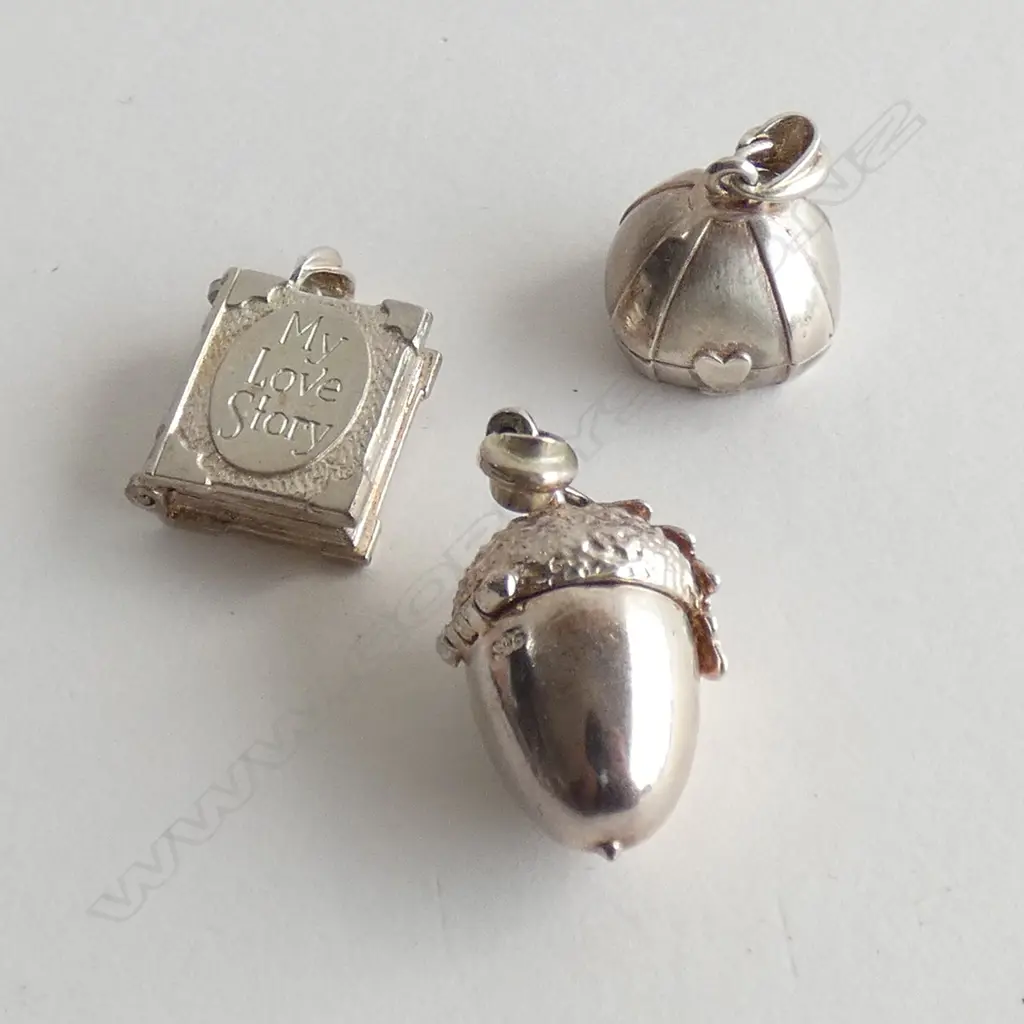 3 GARDONES STG SILVER CHARMS Image 1++