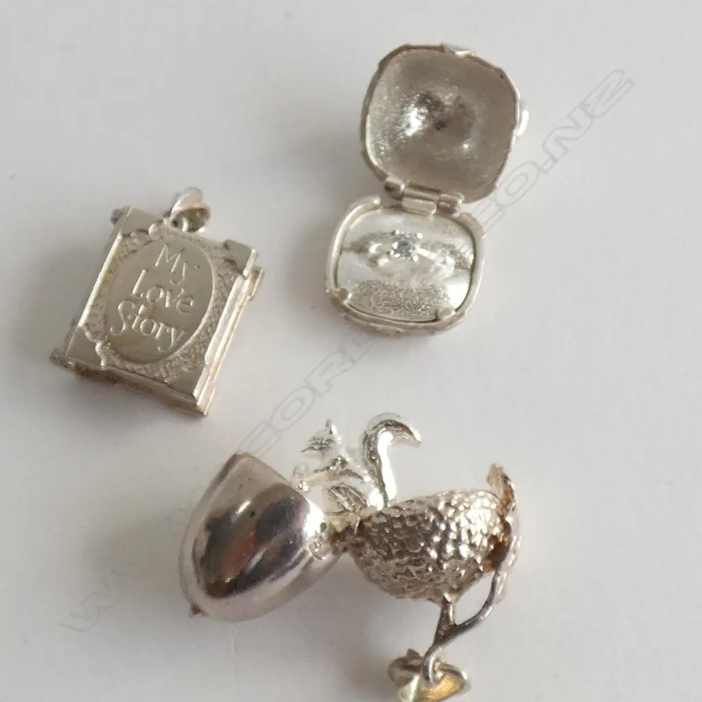 3 GARDONES STG SILVER CHARMS Image 1++