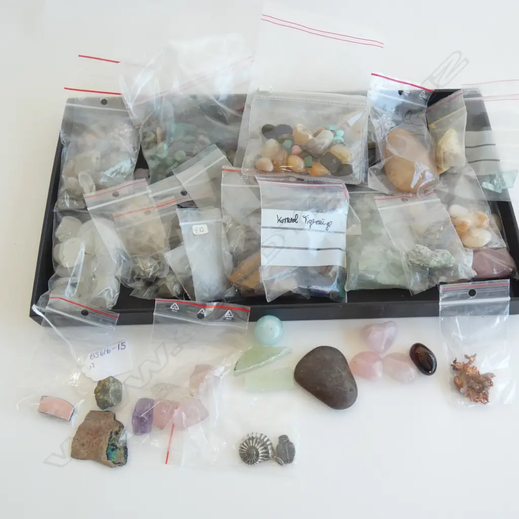 COLLECTORS TRAY GEMSTONES / ROCKS & MINERALS  Image 1++