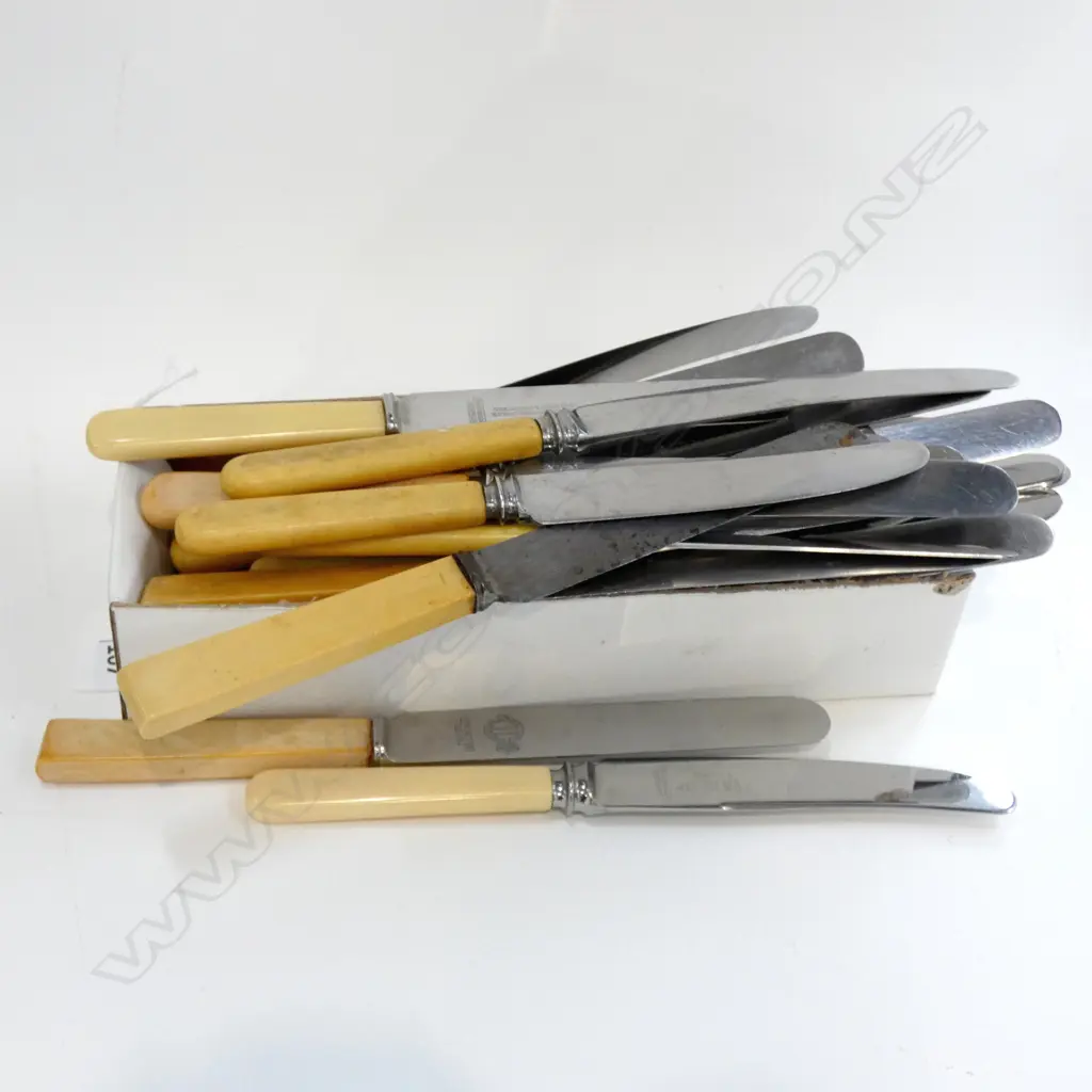 24 IVORINE HANDLED KNIVES Image 1++
