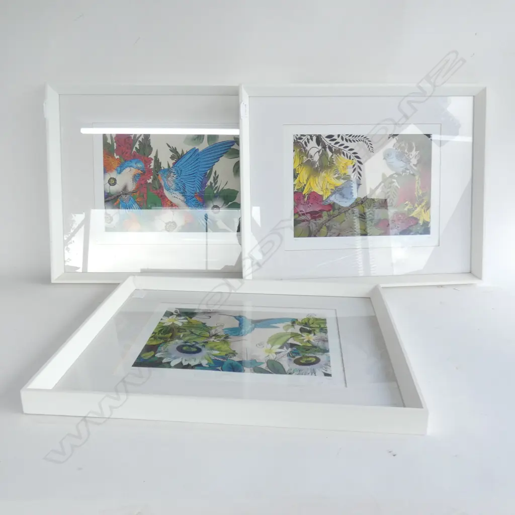 FLOX 3 CONTEMPORARY BIRD PRINTS ED. OF 500 220x310mm Image 1++