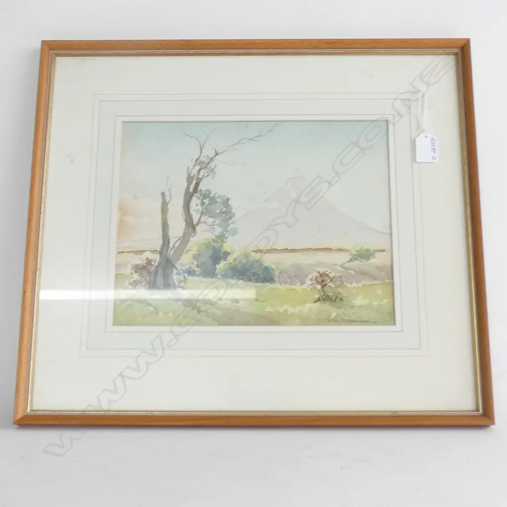 HILDA WISEMAN W/C MT TARANAKI 235 X 305mm Image 1++