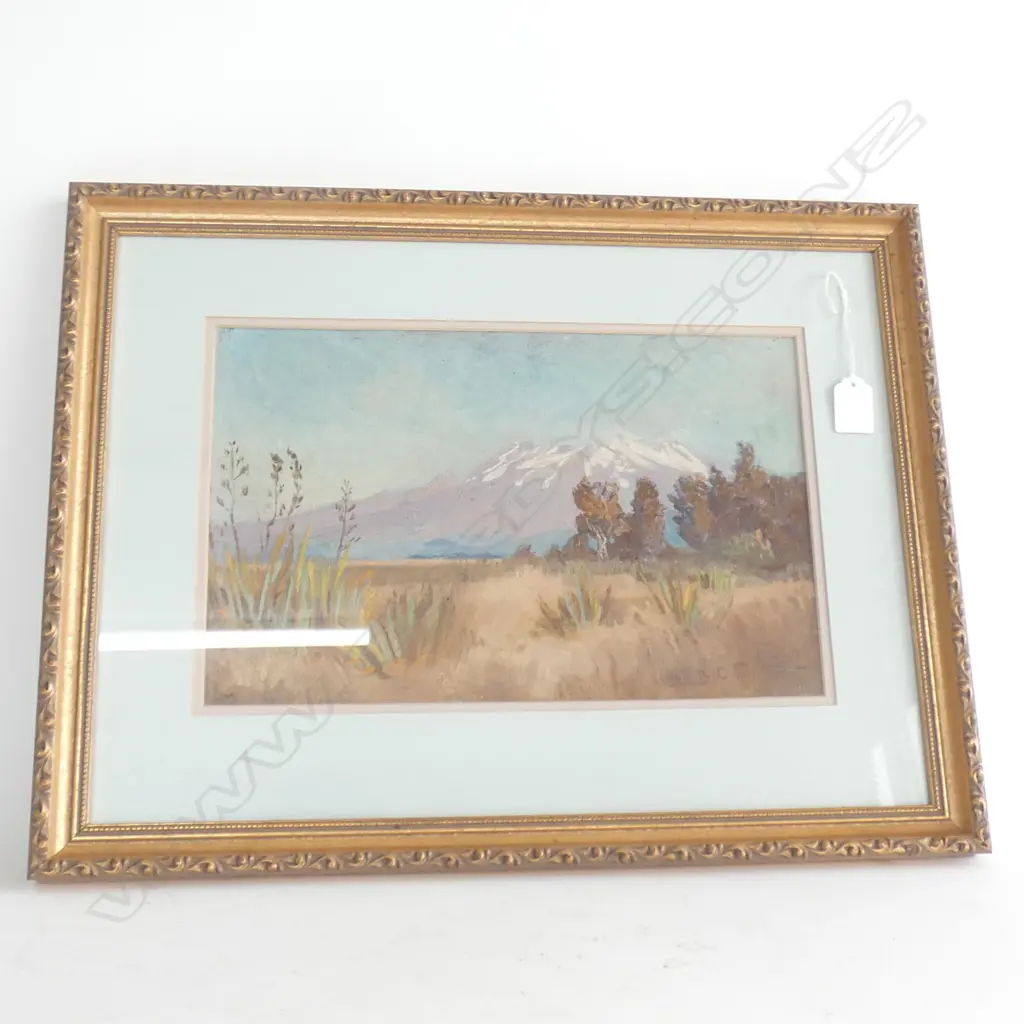 EARLY 20thC OIL BY 'B.C.D'. MT. RUAPEHU 220 X 350mm Image 1++