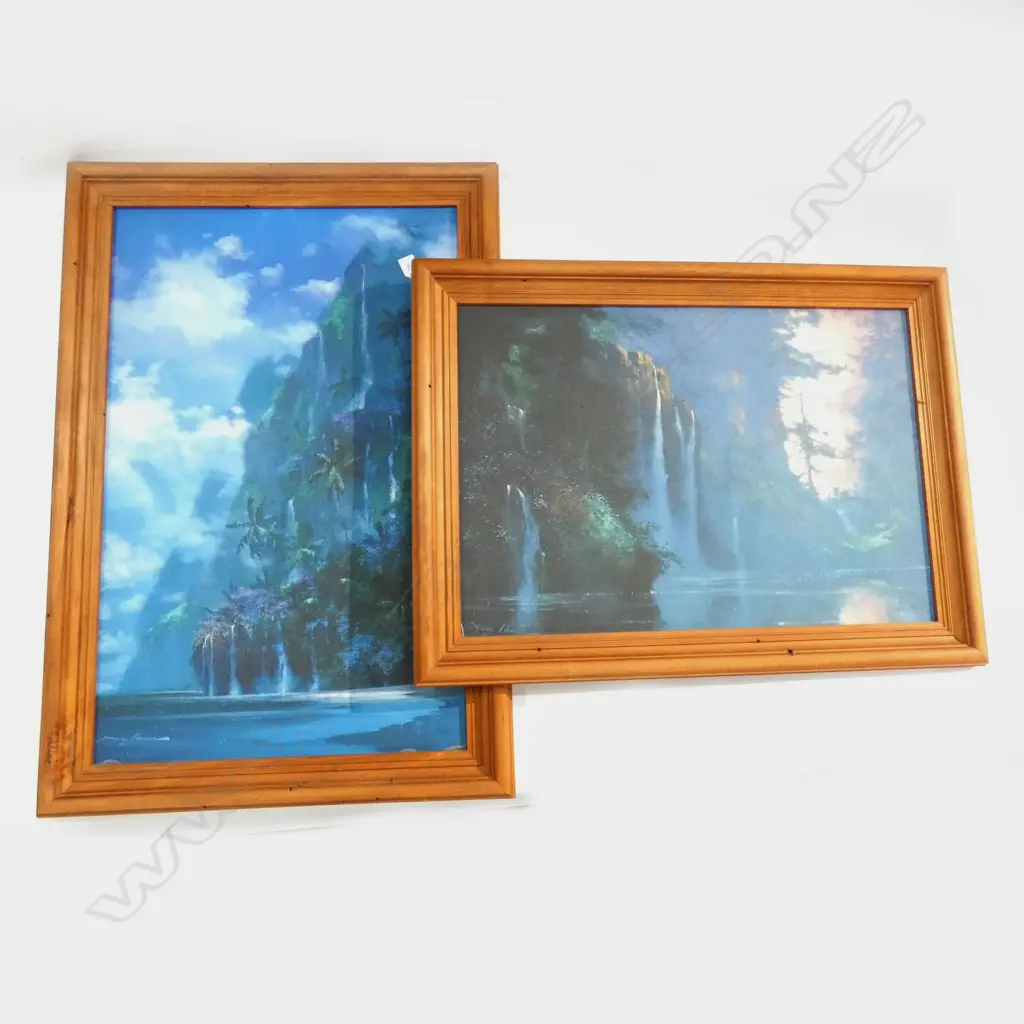 2 LARGE ARTWORKS BY JAMES COLEMAN 'NATURES SYMPHONY' & UNTITLED 800x510mm Image 1++