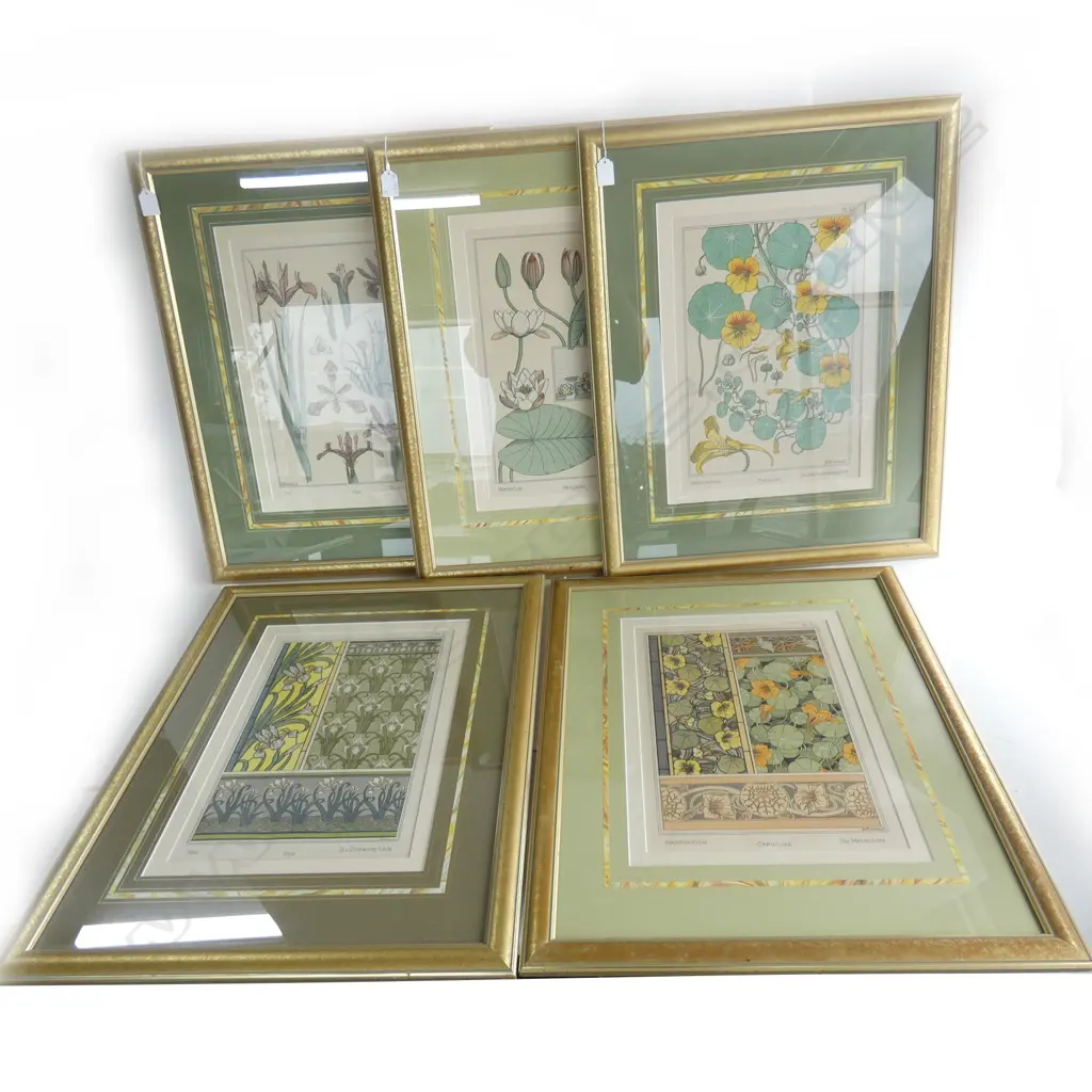5 FRENCH FLORAL LITHOGRAPHS 405x280mm Image 1++