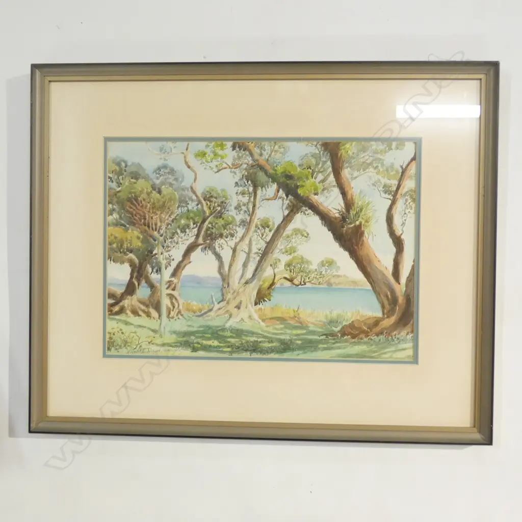 WATERCOLOUR AUSTRALIAN BUSH SCENE BY VINCENT ROGERS (PAINTED C1920-42) 400 X285MM Image 1++