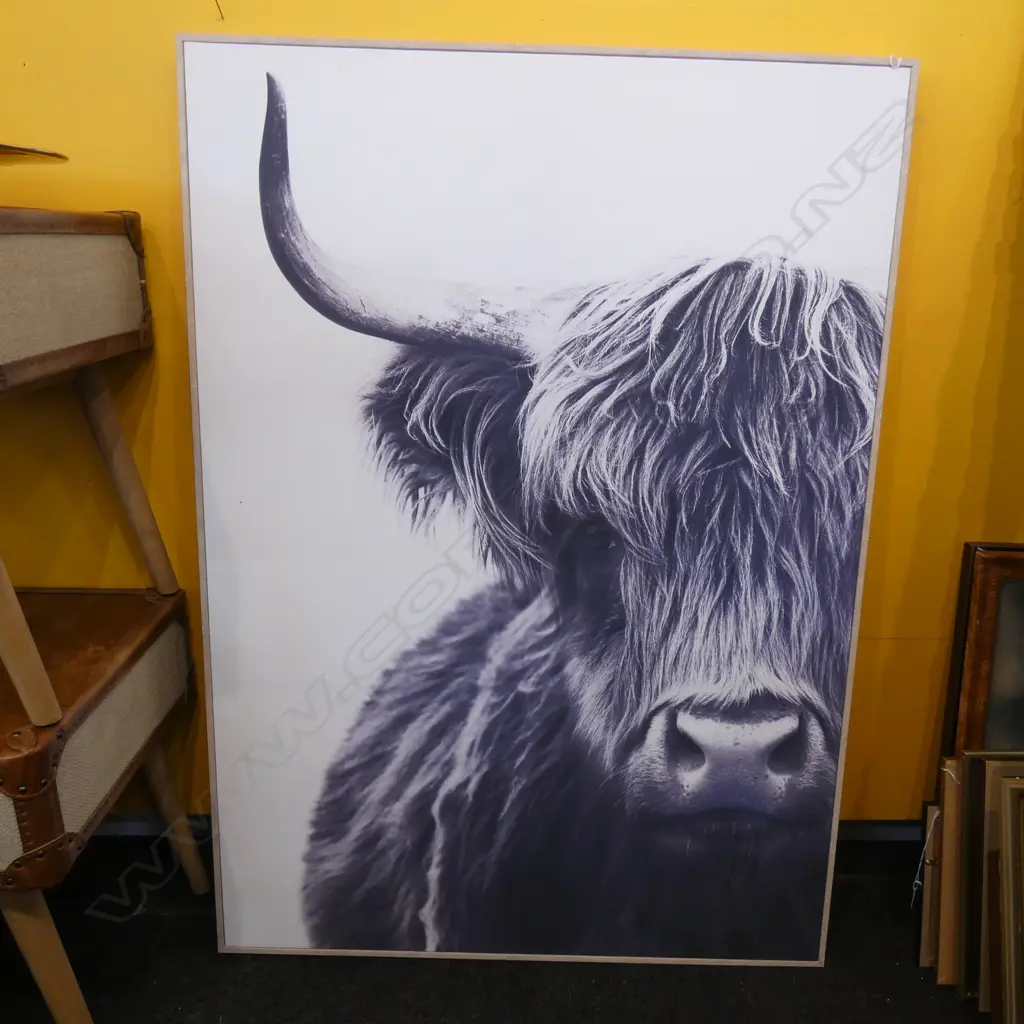 LGE MODERN PRINT HIGHLAND COW WHITE FRAME 1420x1020mm Image 1++