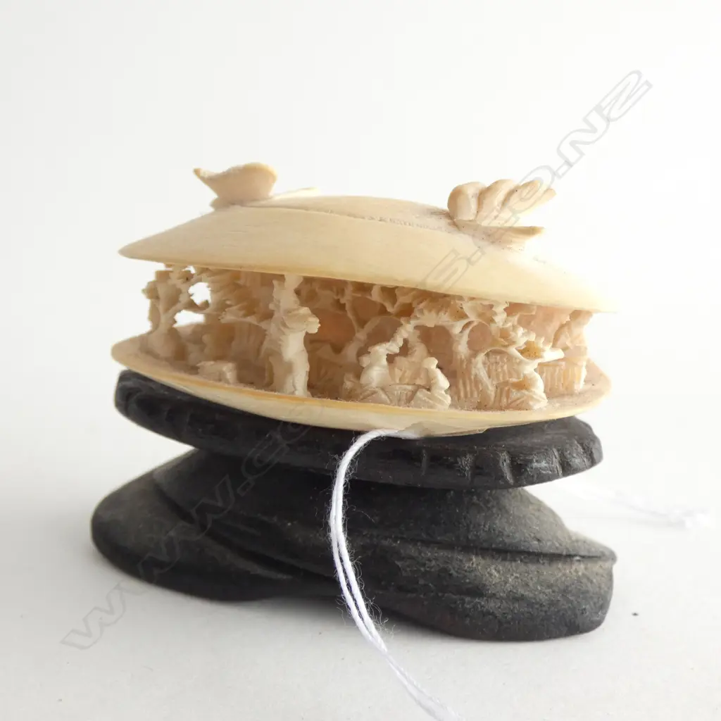 OLD CARVED IVORY DREAM SHELL ON STAND. W.55mm Image 1++