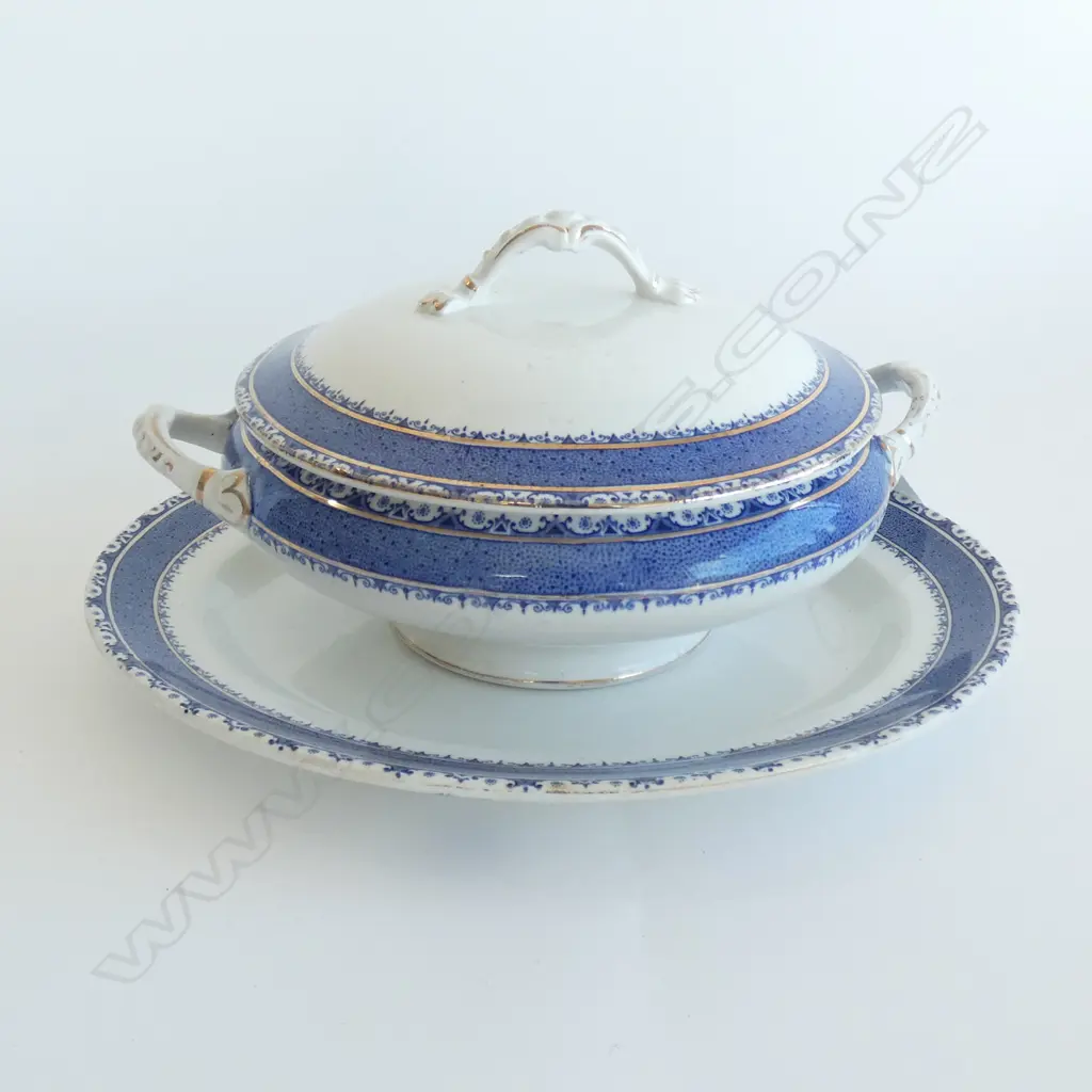 SANDON BURLEIGH WARE BURGESS & LEIGH PLATTER & TUREEN Image 1++
