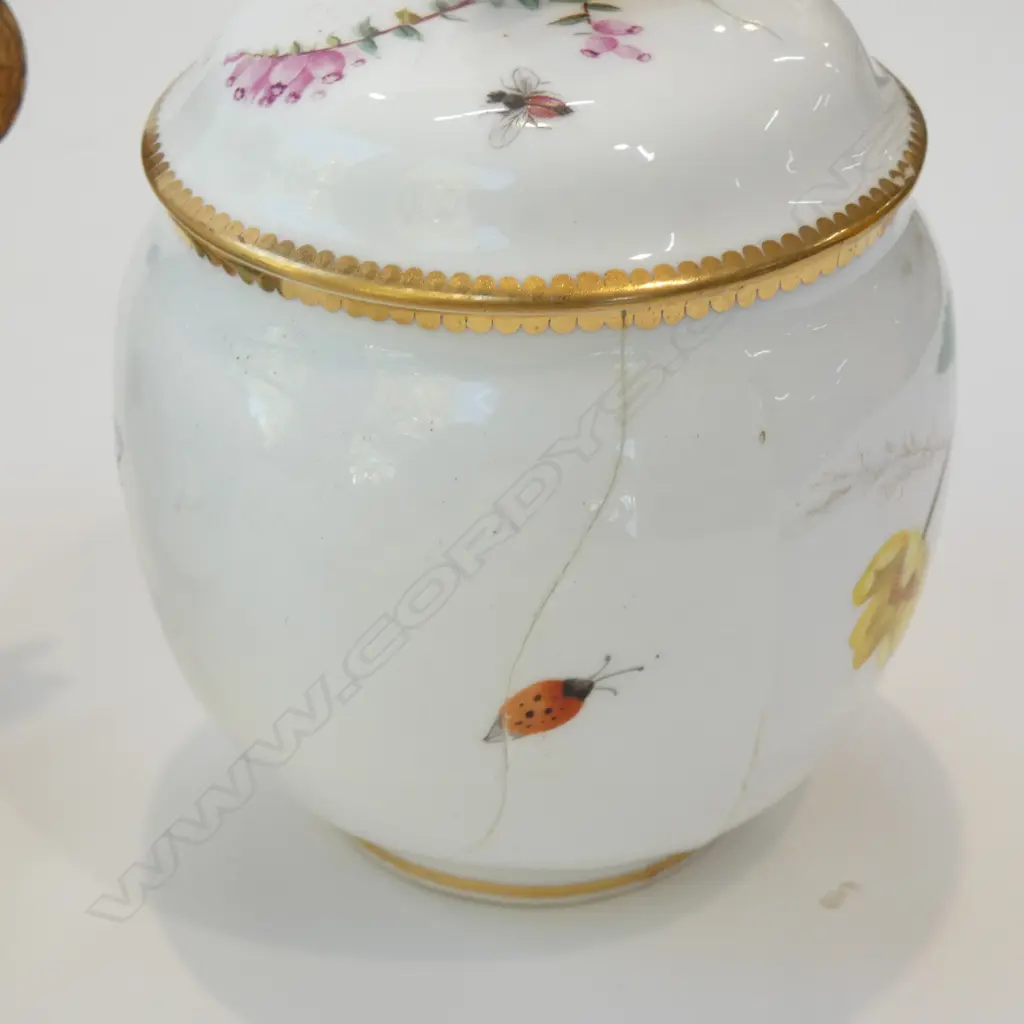 VICTORIAN BUTTERFLY HANDLE TEASET FOR TWO 7 PCS  A/F Image 1++