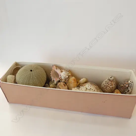 BOX LOT ASST. SHELLS 
