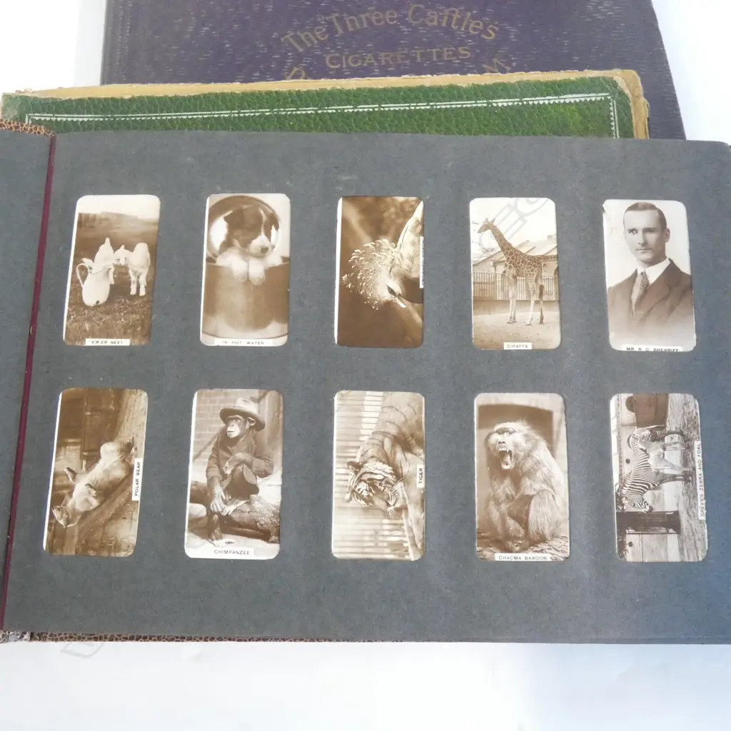 4 VINTAGE CAFTLES CIGARETTE CARD ALBUMS Image 1++