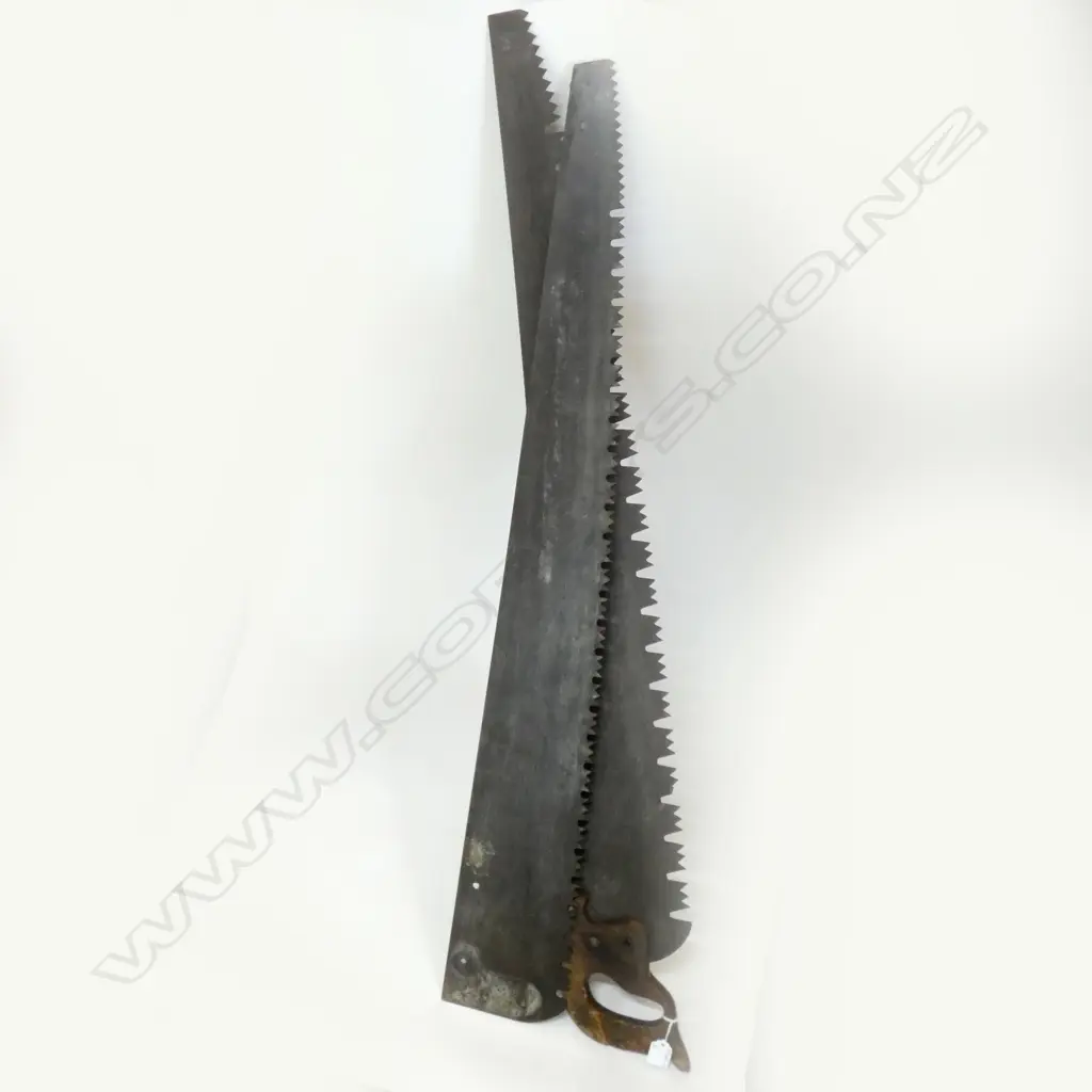 2 OLD CROSS CUT SAWS - ONE WITHOUT HANDLE  Image 1++