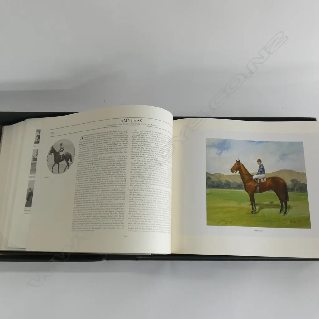 THE BOOK 'NOTEABLE NZ THOROUGHBREDS' 1980 #1210 Image 1++