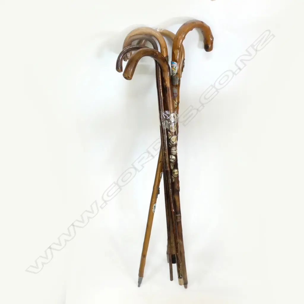 6 VINTAGE WALKING STICKS - 4 WITH SOUVENIR BADGES Image 1++