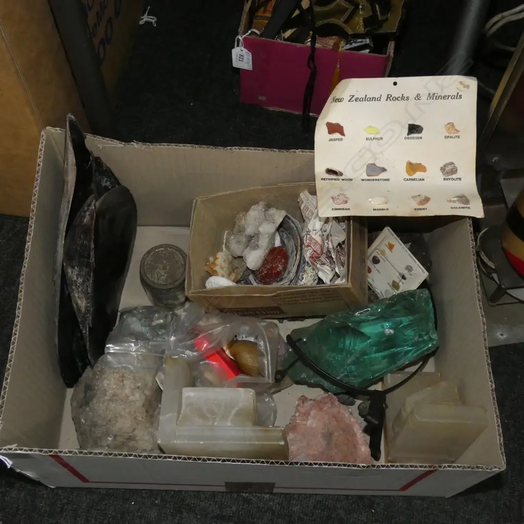 BOX LOT SHELLS, CRYSTALS ETC Image 1++