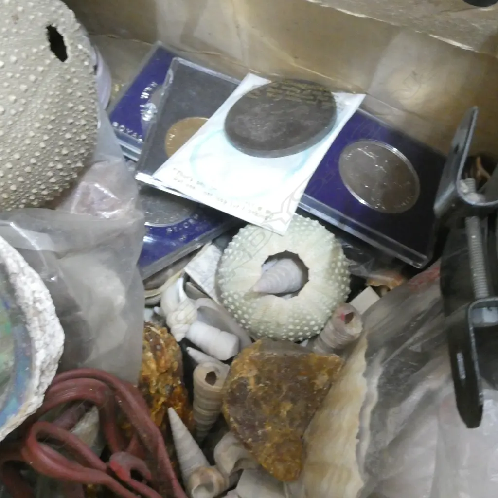 BOX LOT ASST. SHELLS, COINS ETC Image 1++
