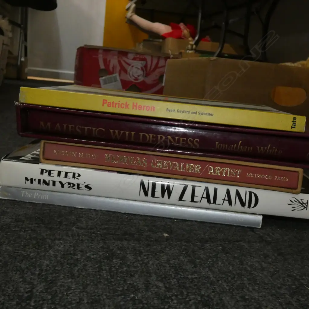 LG BOX REFERENCE / ART BOOKS INCL PETER MCINTYRES 'NEW ZEALAND' Image 1++