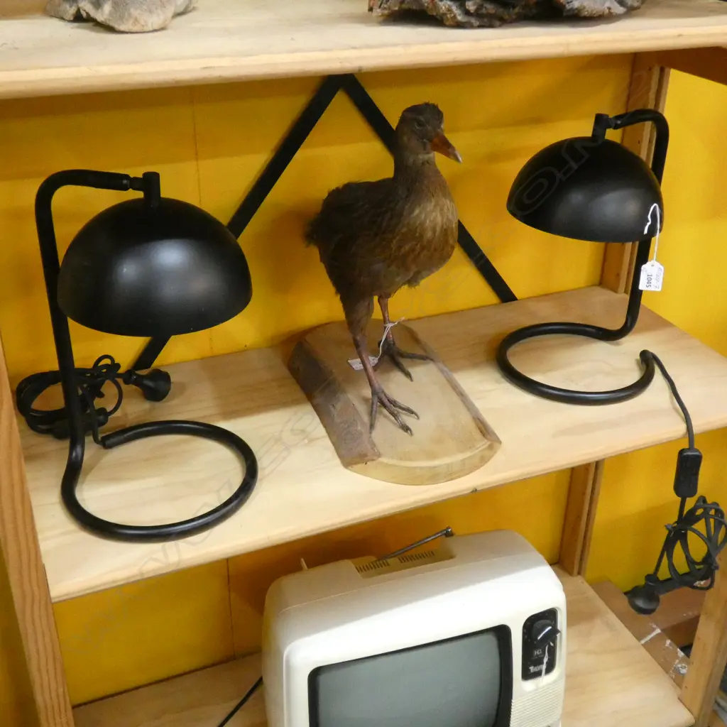 PR MODERN BLACK BEDSIDE/DESK LAMPS Image 1++