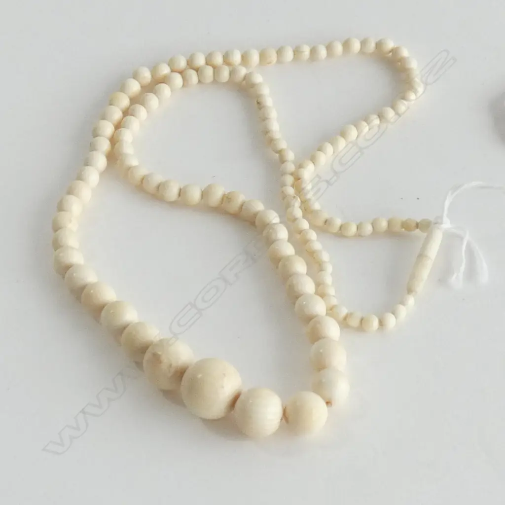 1930'S IVORY BEADS - ORIGINAL CLASP & RECENTLY RESTRUNG Image 1++