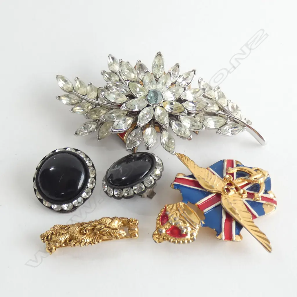 ASST. COSTUME BROOCHES ETC Image 1++