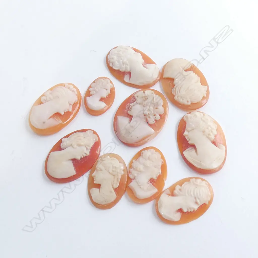 BOX 10 ASST VINTAGE ART NOUVEAU SHELL CAMEOS Image 1++