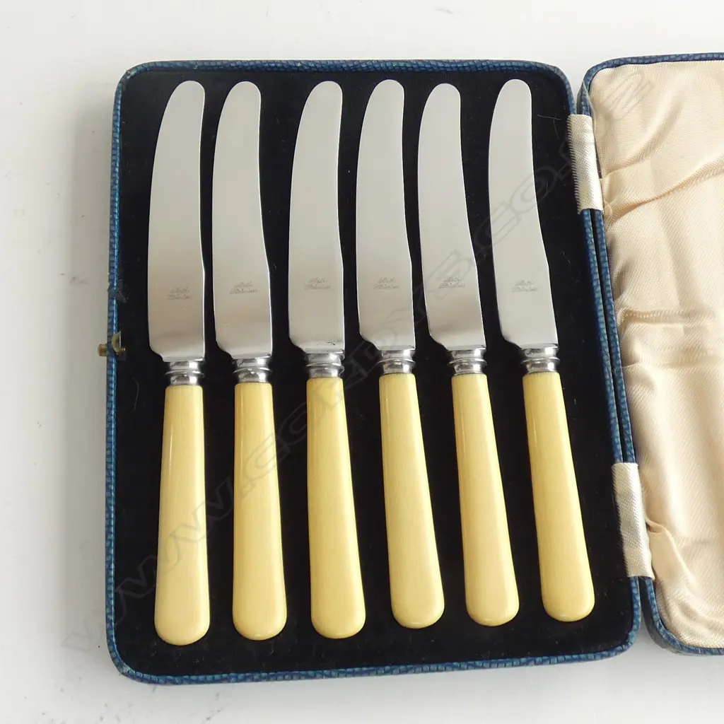 CASED SET 6 SHORT IVORINE HANDLED KNIVES L.175mm  Image 1++