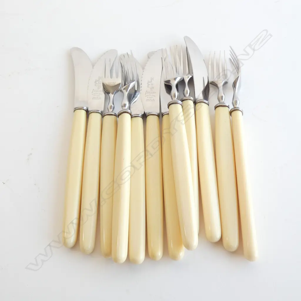 12 PCE IVORINE FRUIT SET CUTLERY Image 1++