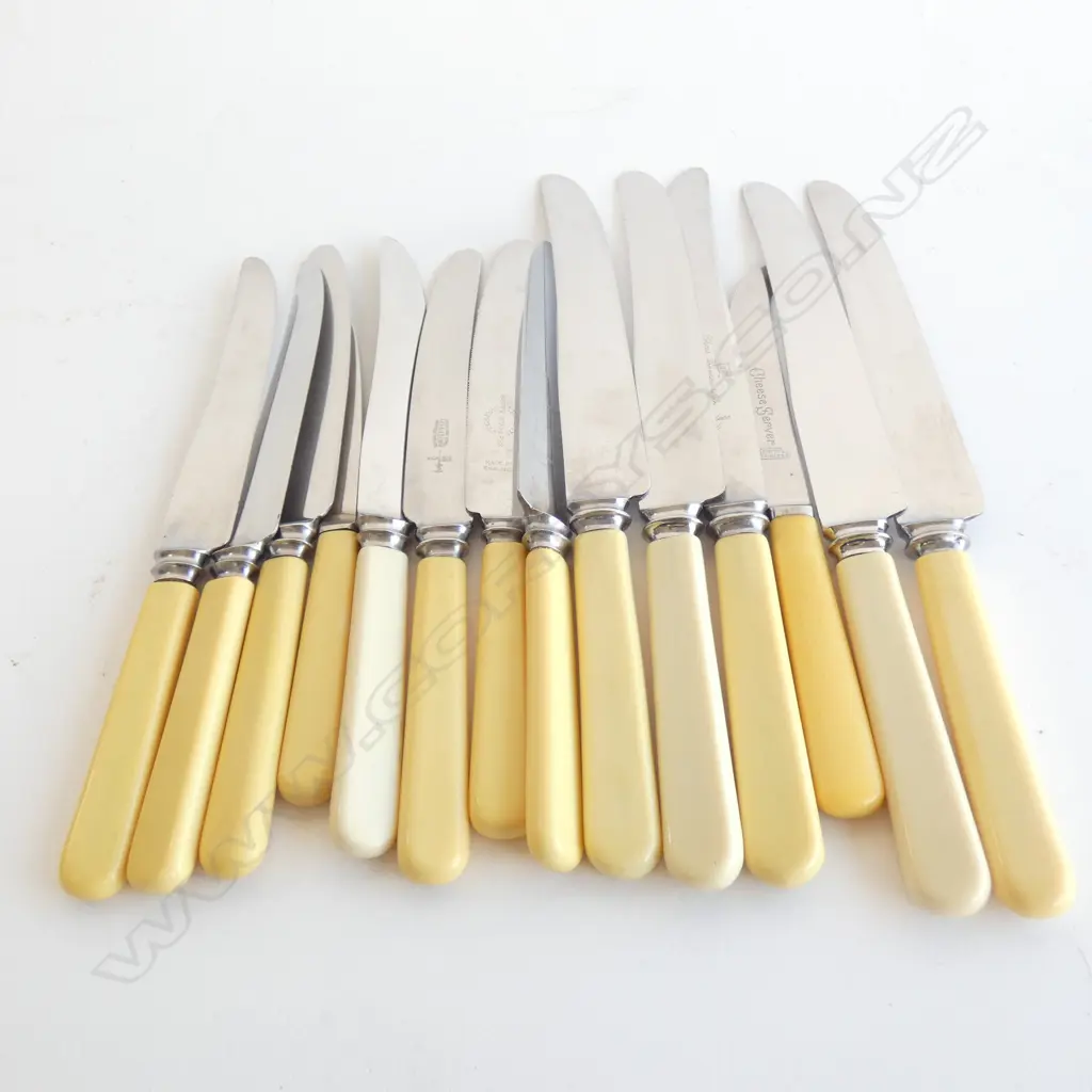 14 ASST. IVORINE HANDLED KNIVES  Image 1++