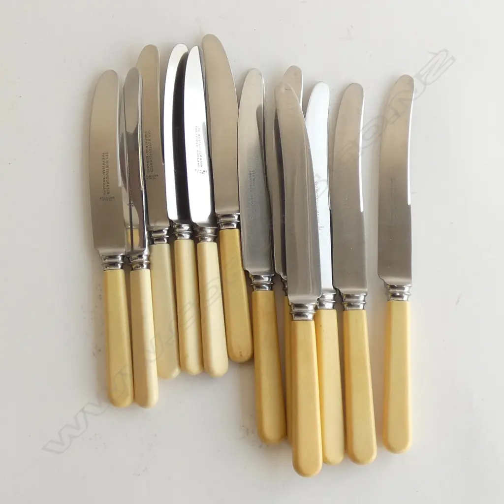 12 IVORINE HANDLED KNIVES L.240mm Image 1++