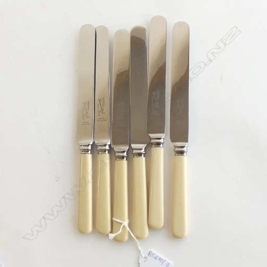 SET OF 6 LONG IVORINE HANDLED KNIVES L.240mm Image 1++