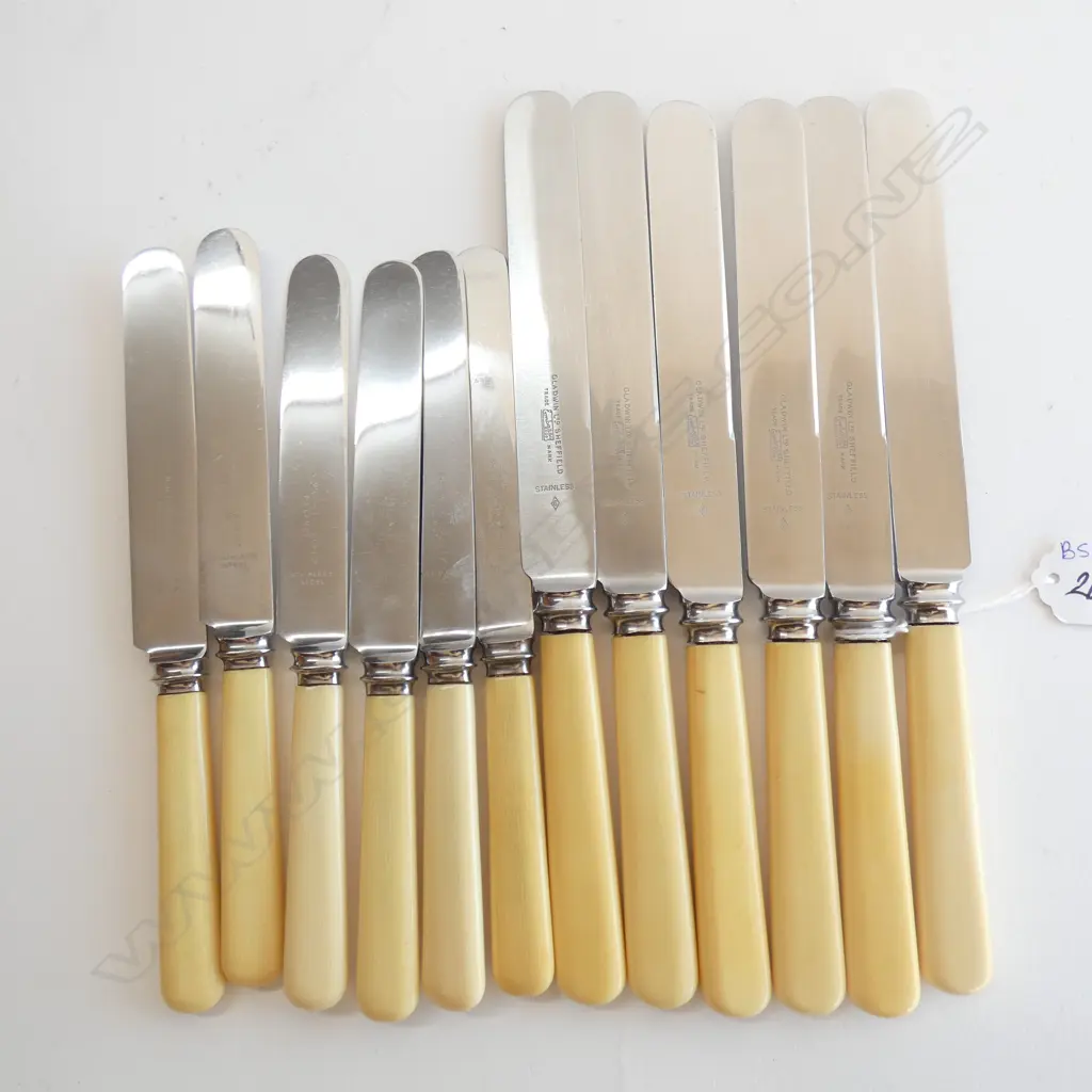 12 IVORINE HANDLED KNIVES; 6 205mm, 6 255mm Image 1++