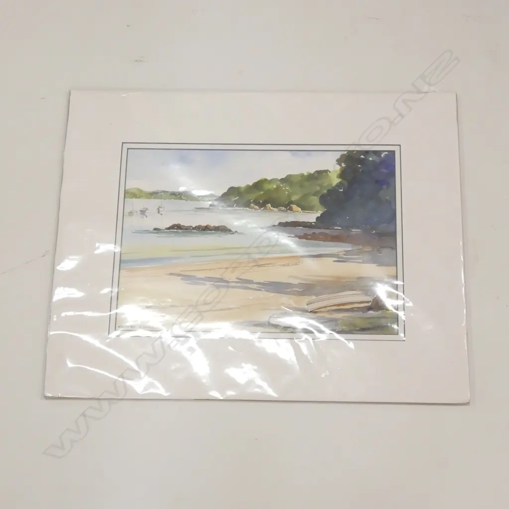 CHERRY LAWRIE, WATERCOLOUR, NORTHLAND COASTAL SCENE WITH YACHTS, MOUNTED UNFRAMED. 240 x 445mm IMAGE Image 1++