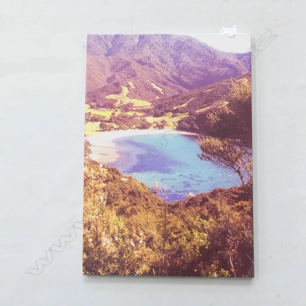 PHOTO ON CANVAS 'STONY BAY' JOCELYN ARNOLD 550 X 380MM Image 1++
